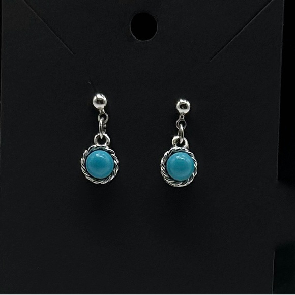 Turquoise Dangle Drop Earrings Turquoise Pierced Western Earrings in Silver - Picture 2 of 6